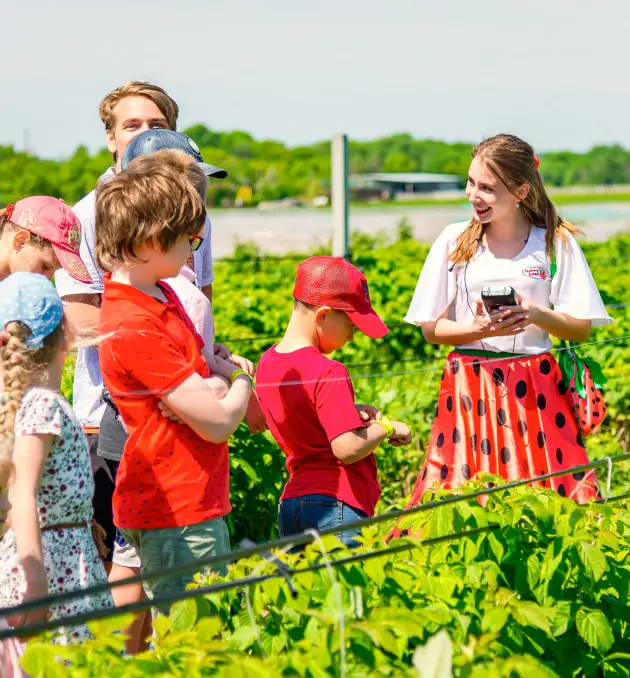Літній <br>відпочинок <br>в Berry Land